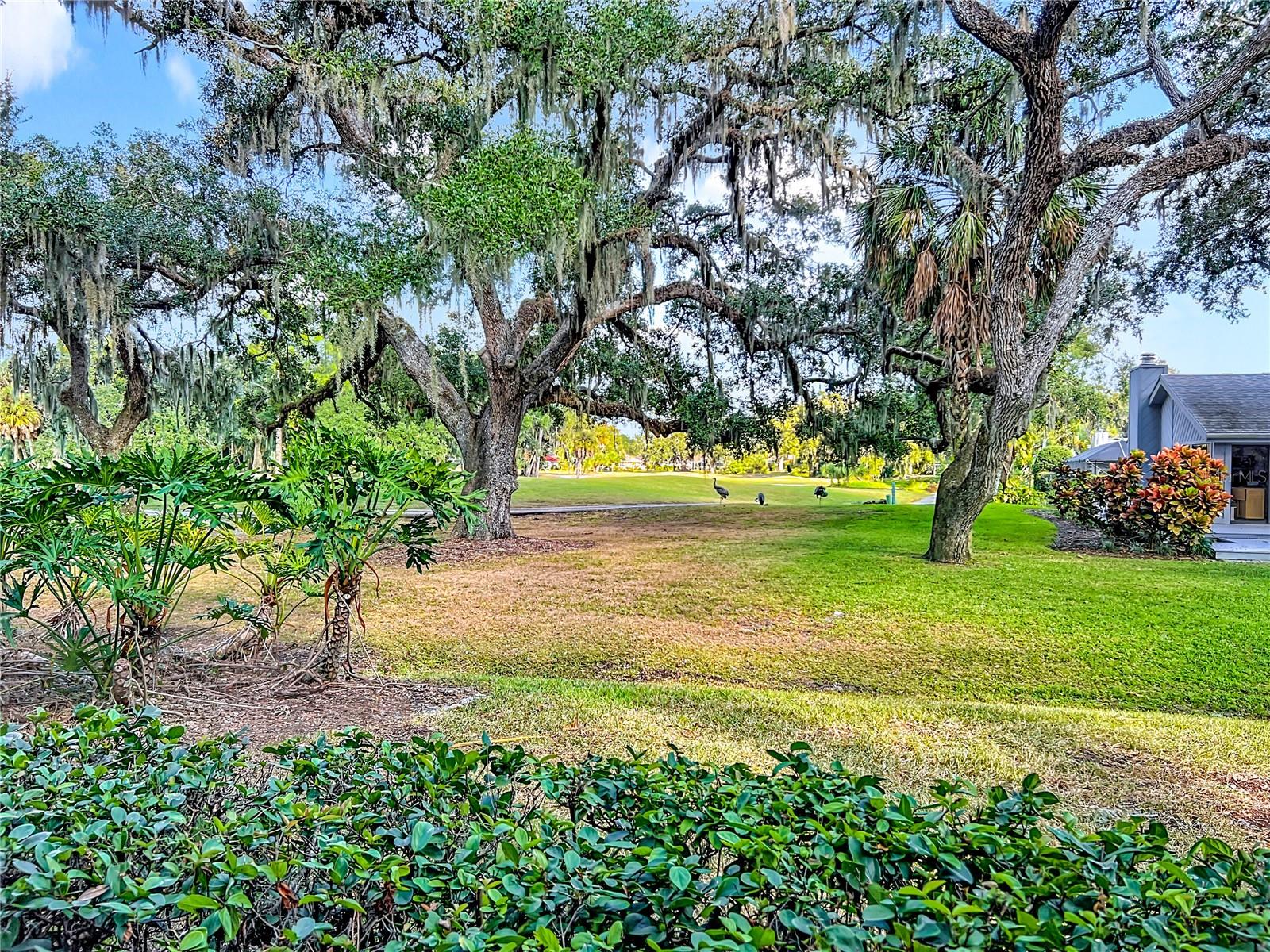 4683 OAK HOLLOW DR #3, SARASOTA, FL, 34241