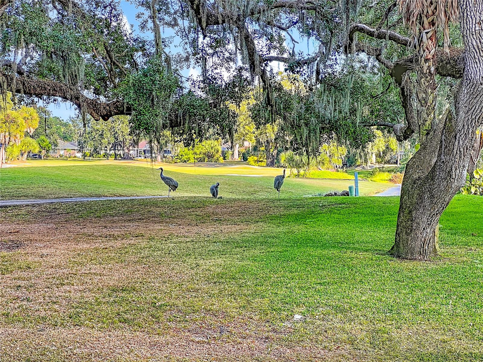 4683 OAK HOLLOW DR #3, SARASOTA, FL, 34241