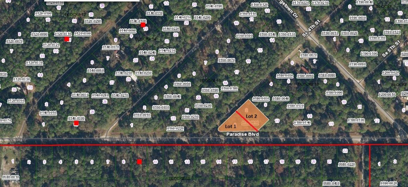 SE 4TH ST, GEORGETOWN, FL, 32139