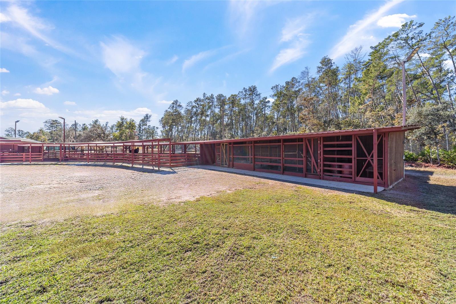 14181 SE 211TH COURT, UMATILLA, FL, 32784