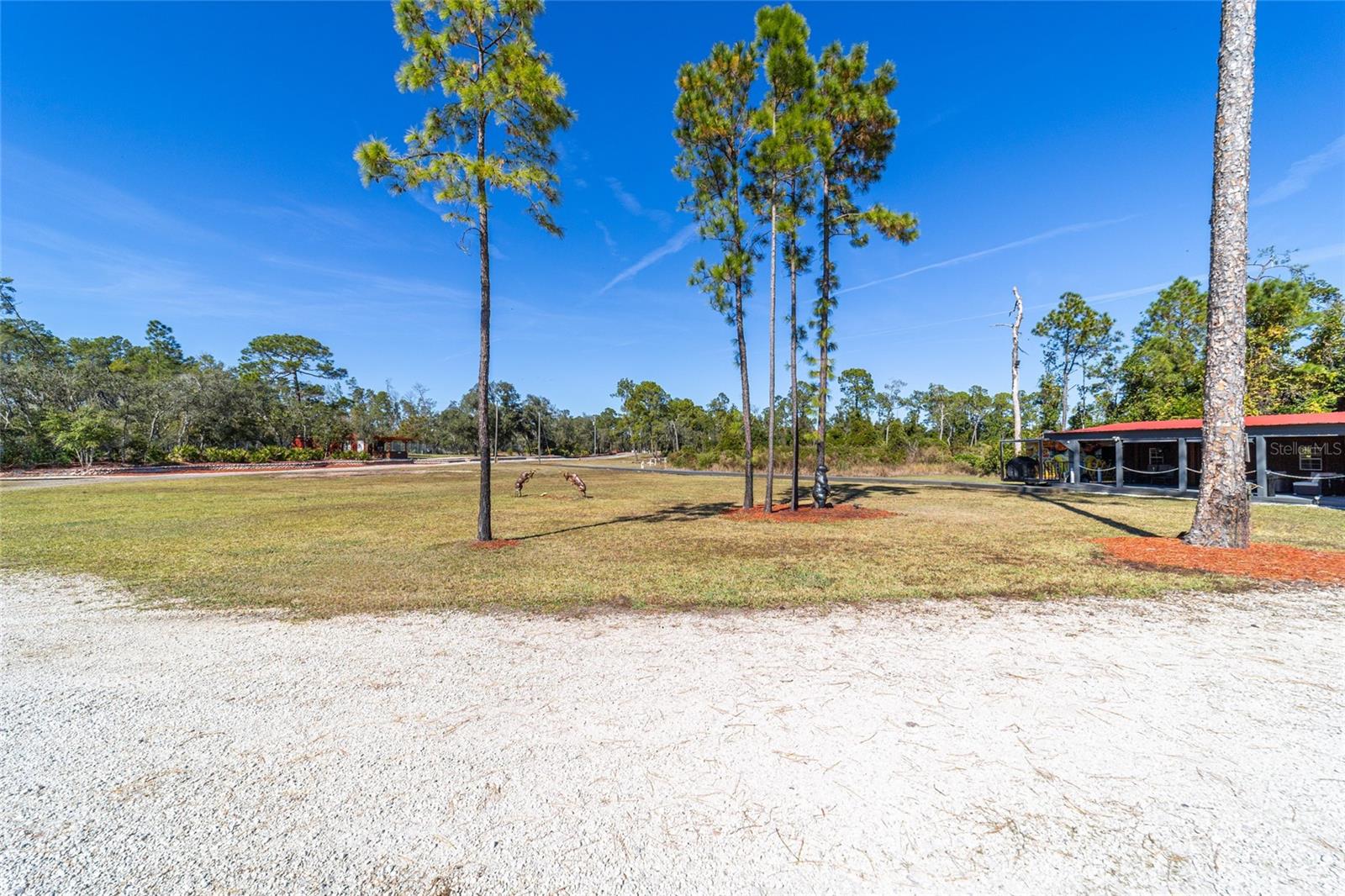 14181 SE 211TH COURT, UMATILLA, FL, 32784
