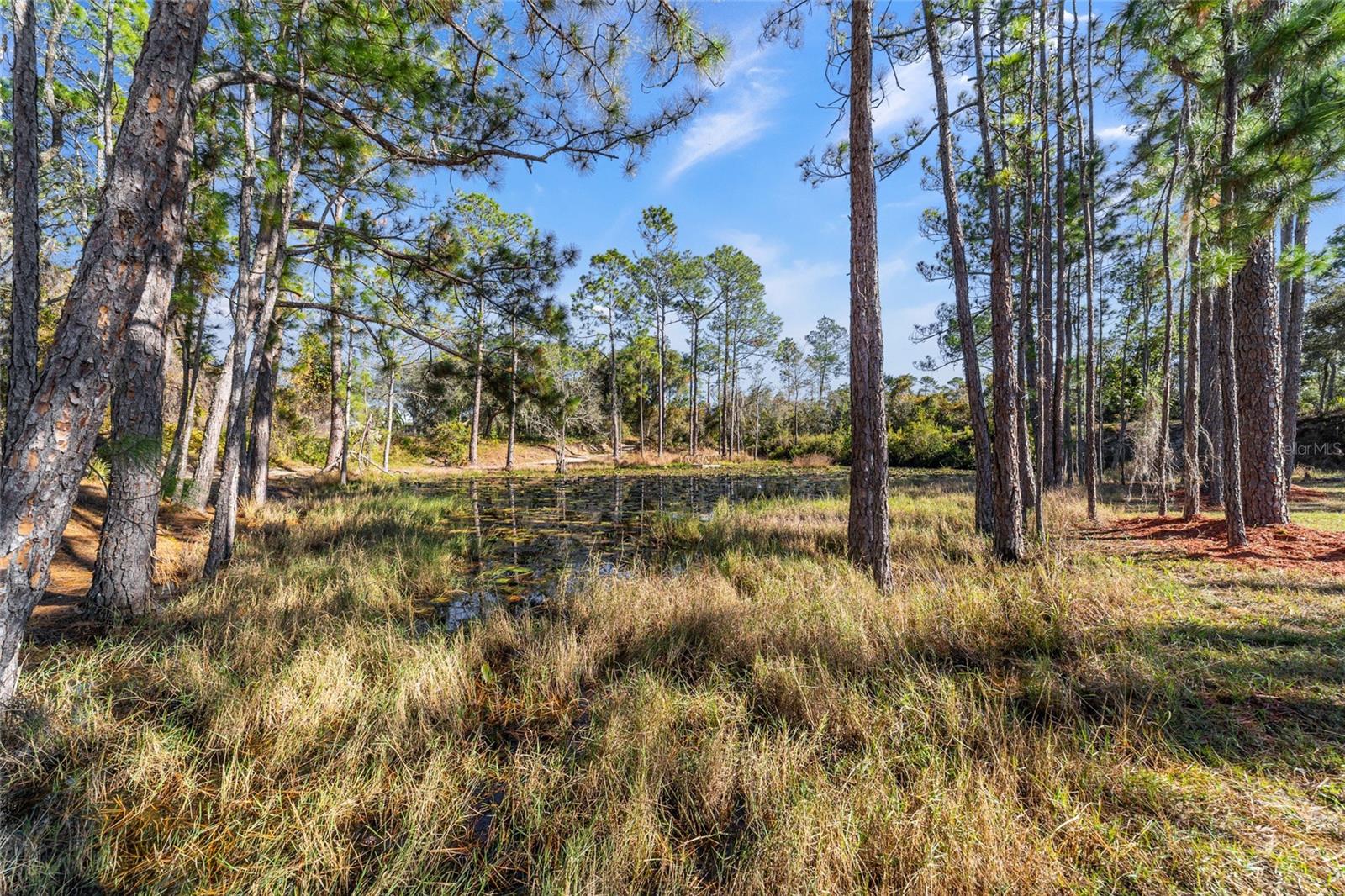 14181 SE 211TH COURT, UMATILLA, FL, 32784