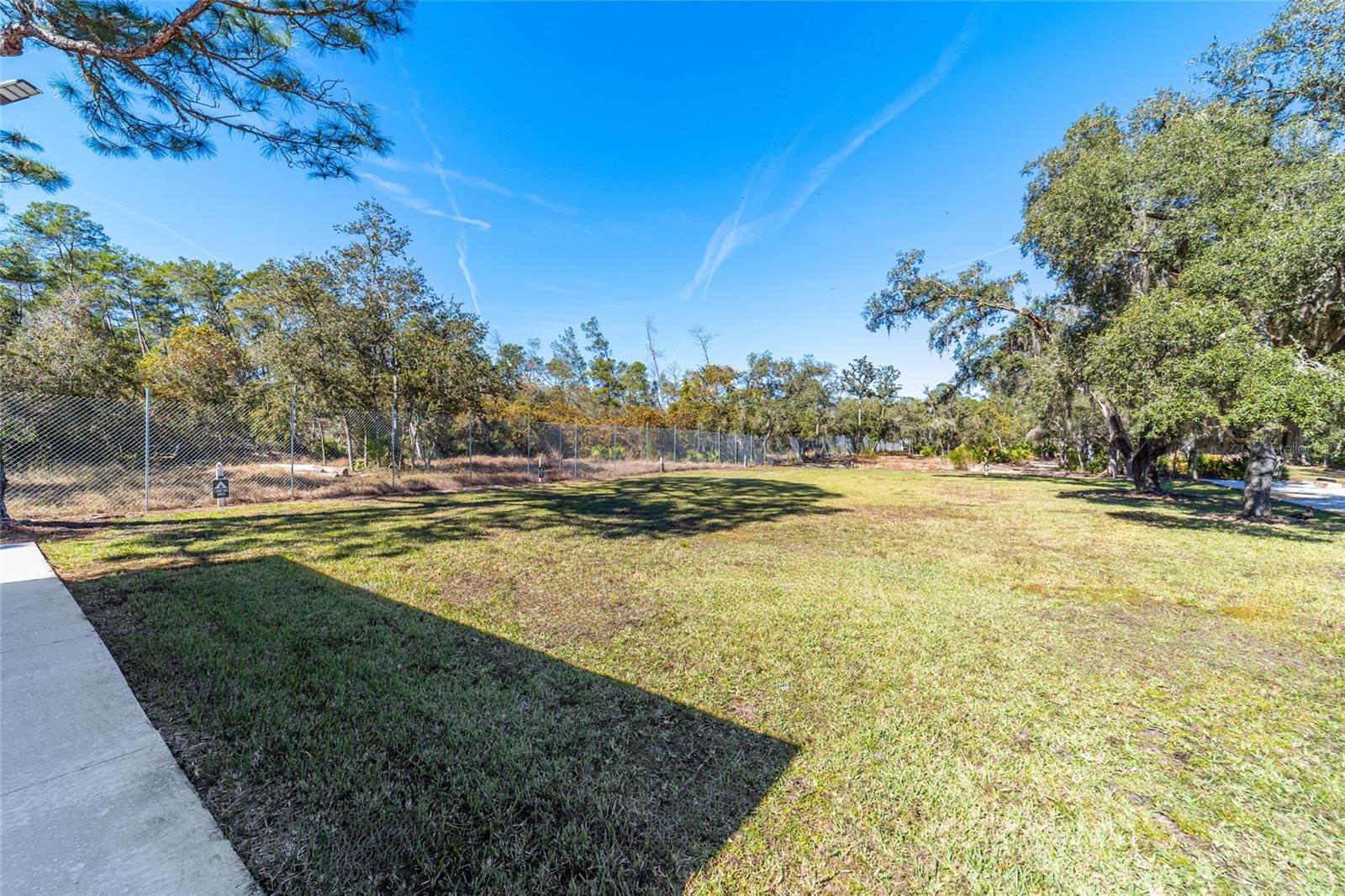 14181 SE 211TH COURT, UMATILLA, FL, 32784