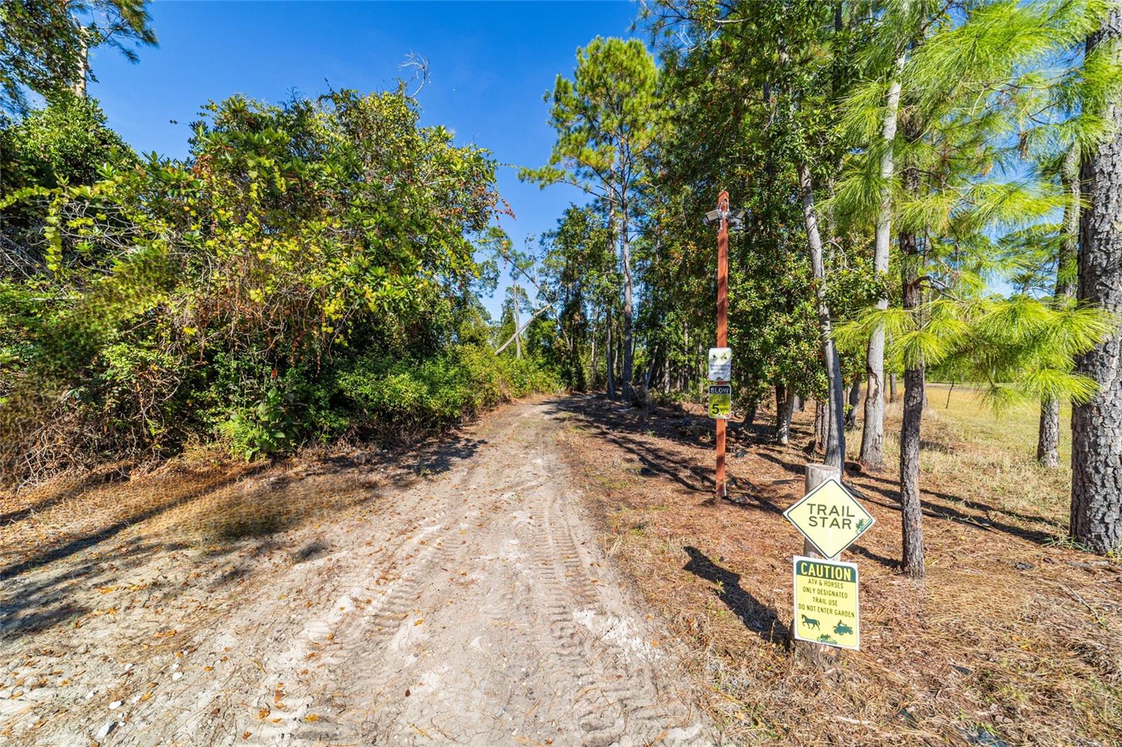 14181 SE 211TH COURT, UMATILLA, FL, 32784