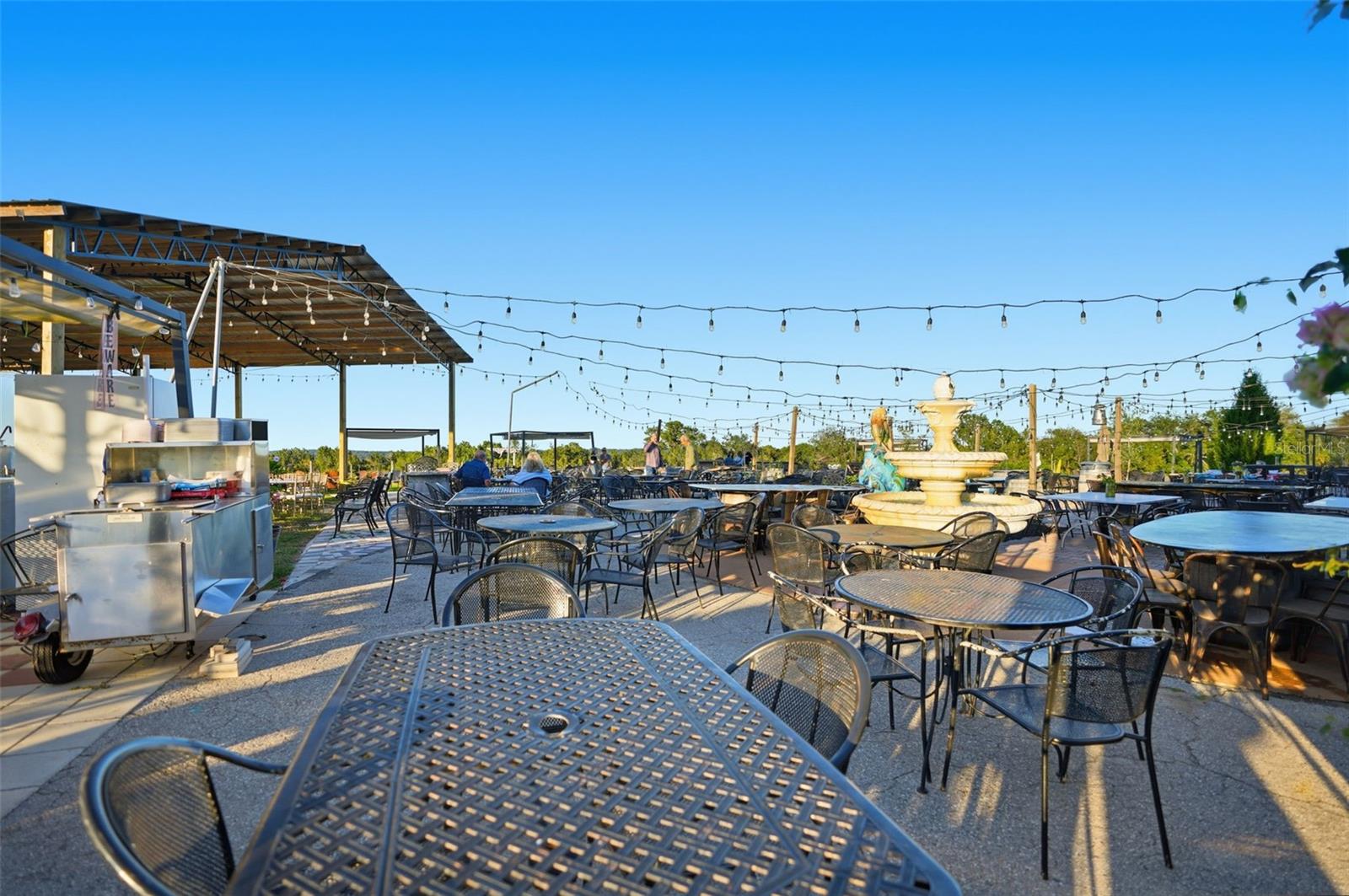 21509 SNOW HILL RD, BROOKSVILLE, FL, 34601