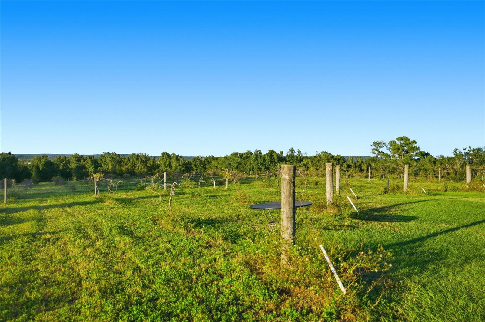 21509 SNOW HILL RD, BROOKSVILLE, FL, 34601