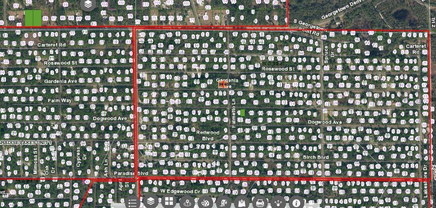 336 GARDENIA AVE, GEORGETOWN, FL, 32139