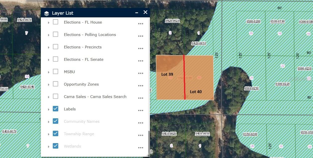 336 GARDENIA AVE, GEORGETOWN, FL, 32139