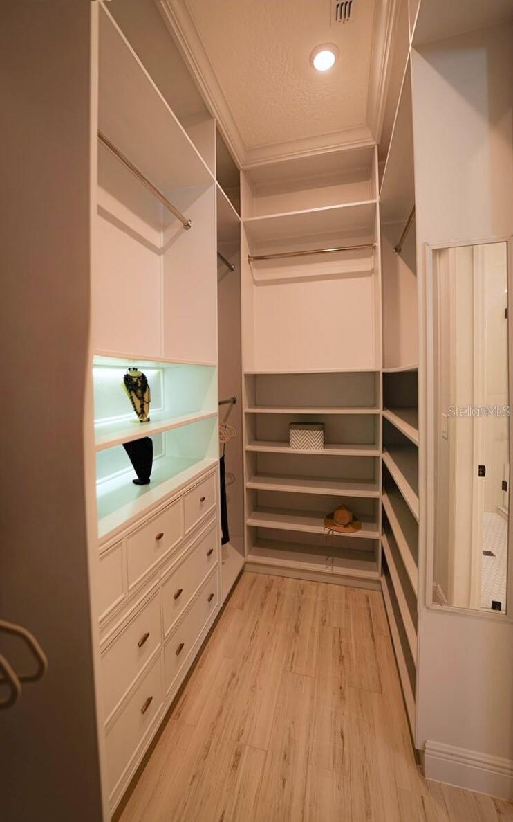 10067 AUSTRINA OAK LOOP, WINTER GARDEN, FL, 34787