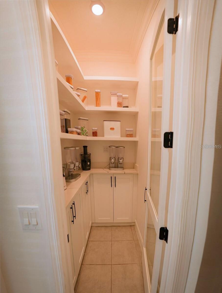 10067 AUSTRINA OAK LOOP, WINTER GARDEN, FL, 34787