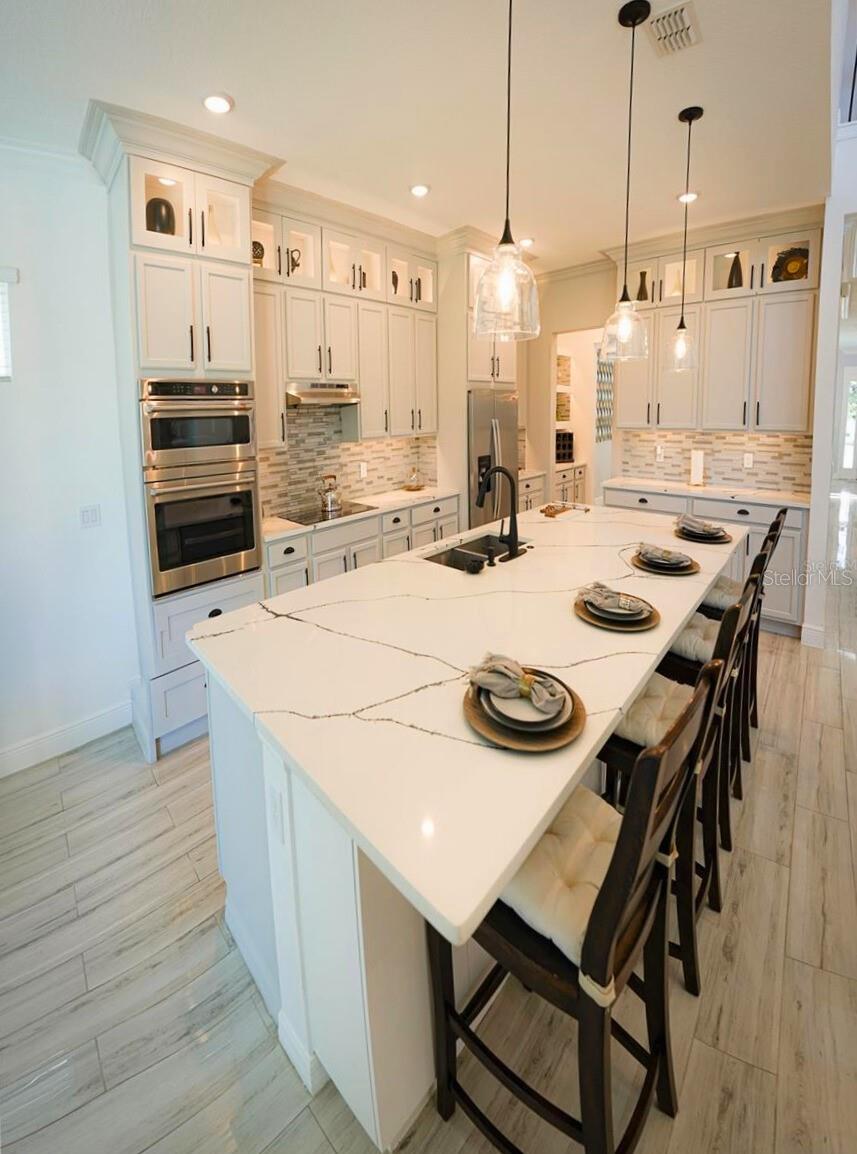 10067 AUSTRINA OAK LOOP, WINTER GARDEN, FL, 34787