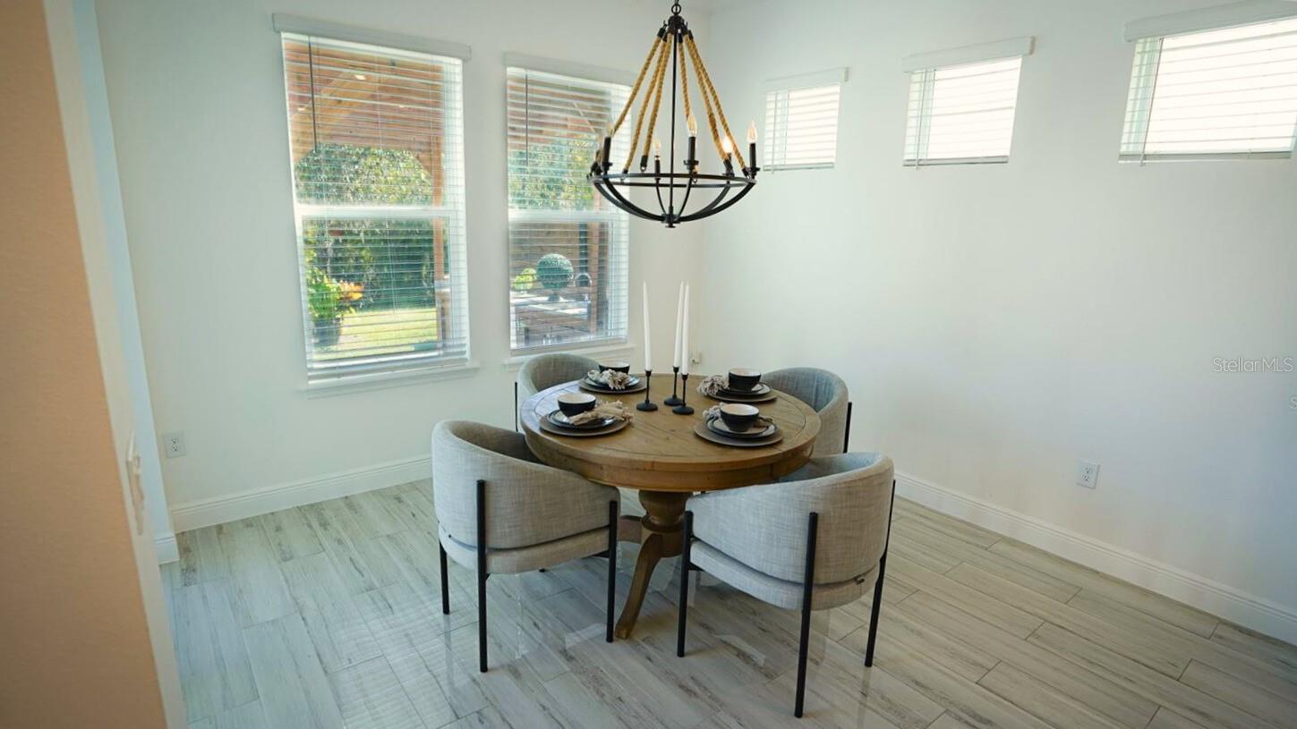 10067 AUSTRINA OAK LOOP, WINTER GARDEN, FL, 34787