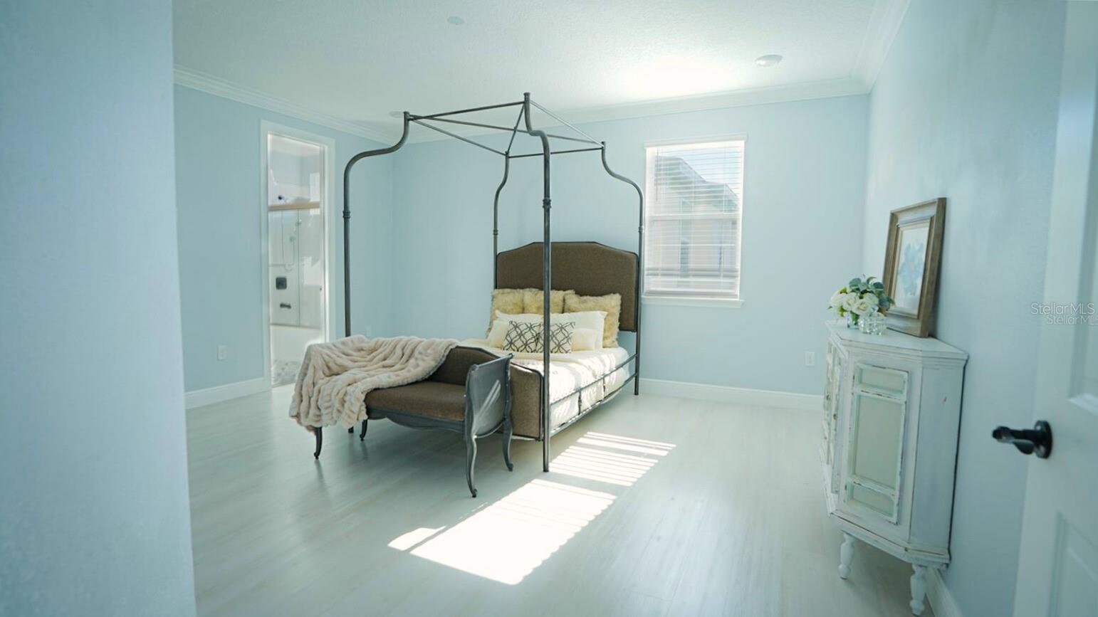 10067 AUSTRINA OAK LOOP, WINTER GARDEN, FL, 34787