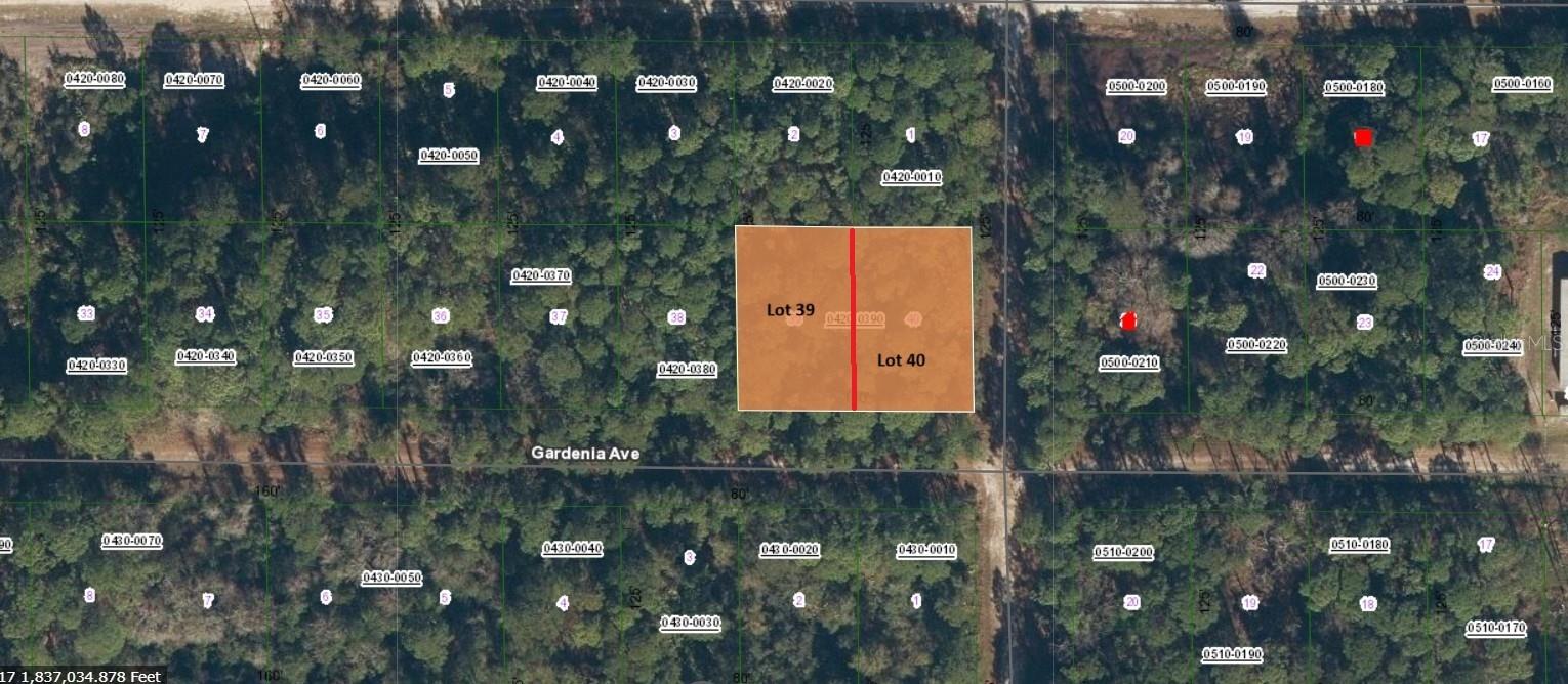 336 GARDENIA AVE, GEORGETOWN, FL, 32139