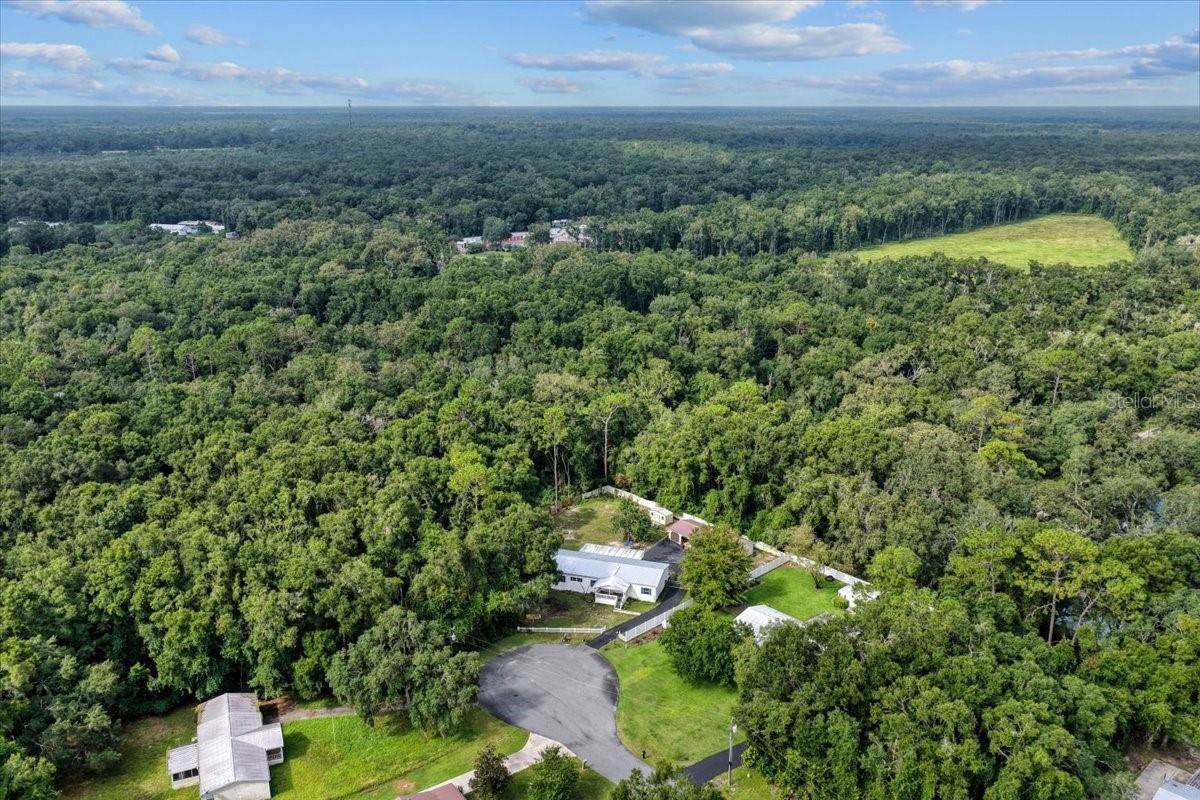 17130 NW 83RD CT, FANNING SPRINGS, FL, 32693