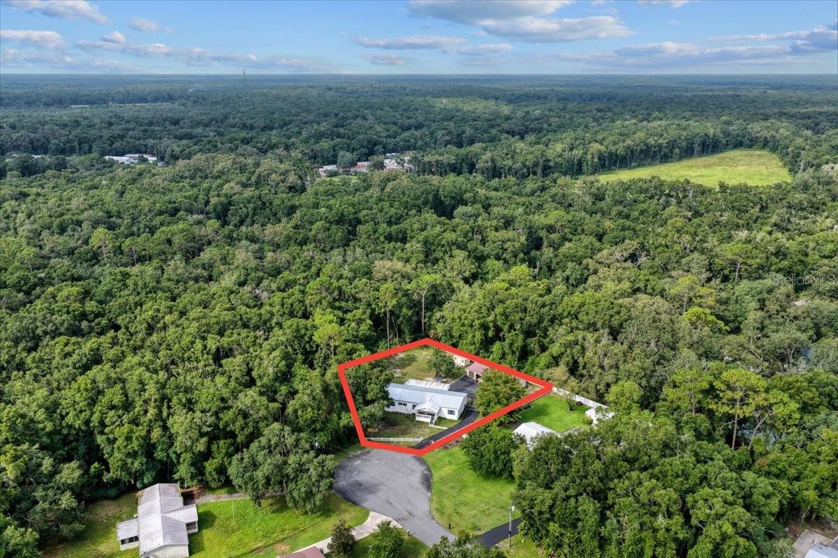 17130 NW 83RD CT, FANNING SPRINGS, FL, 32693