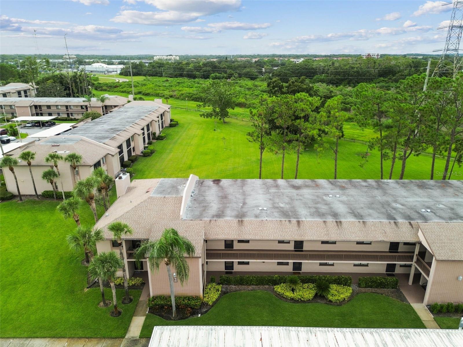 204 MARY DR, OLDSMAR, FL, 34677