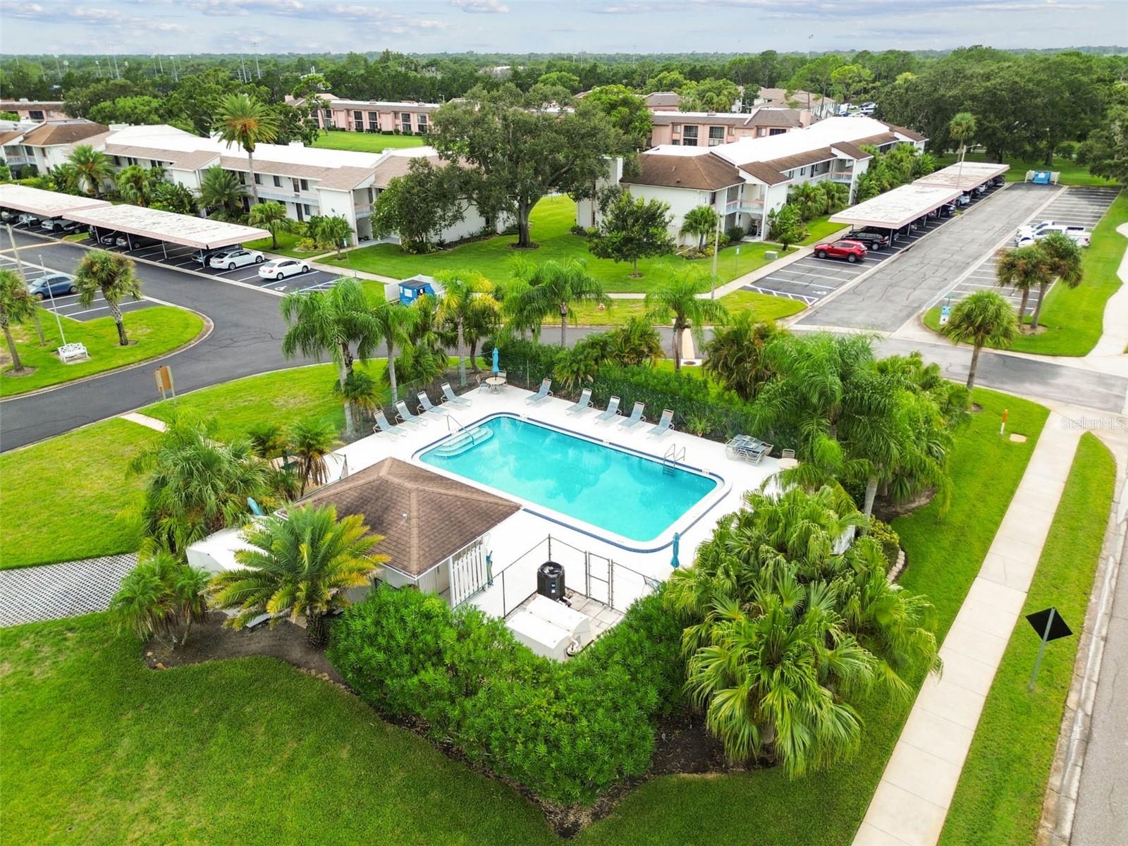 204 MARY DR, OLDSMAR, FL, 34677