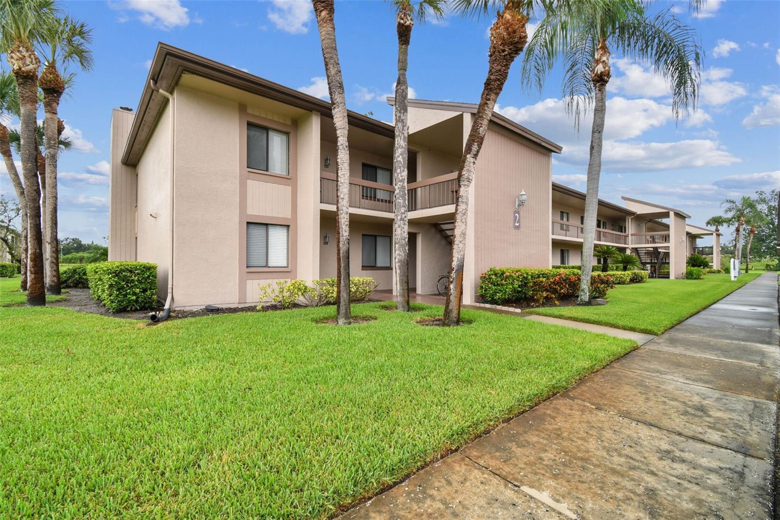 204 MARY DR, OLDSMAR, FL, 34677