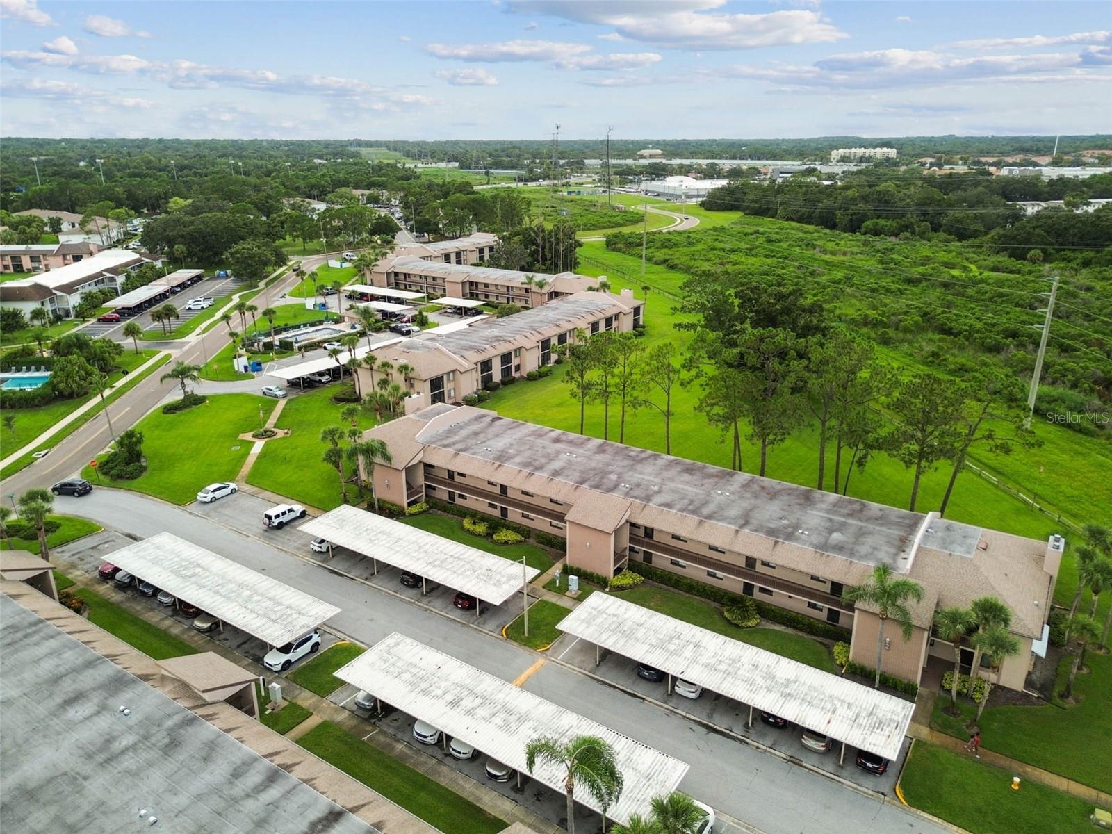 204 MARY DR, OLDSMAR, FL, 34677