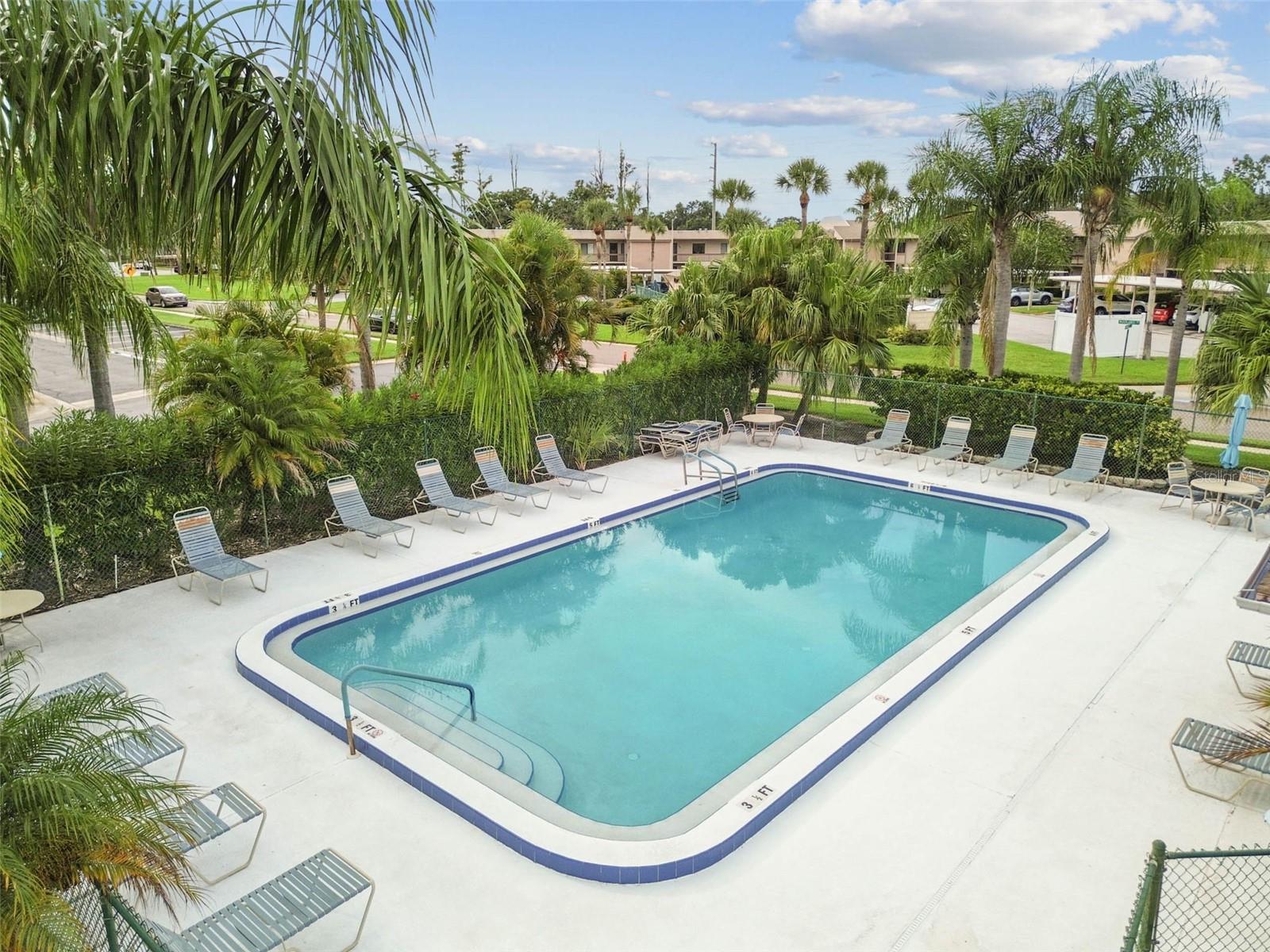 204 MARY DR, OLDSMAR, FL, 34677