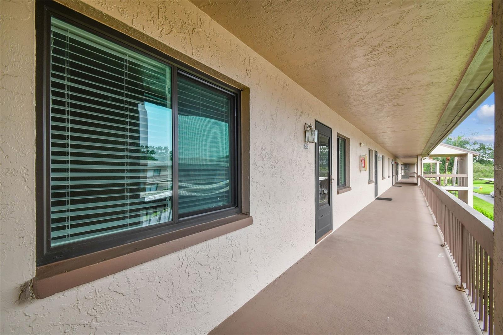 204 MARY DR, OLDSMAR, FL, 34677