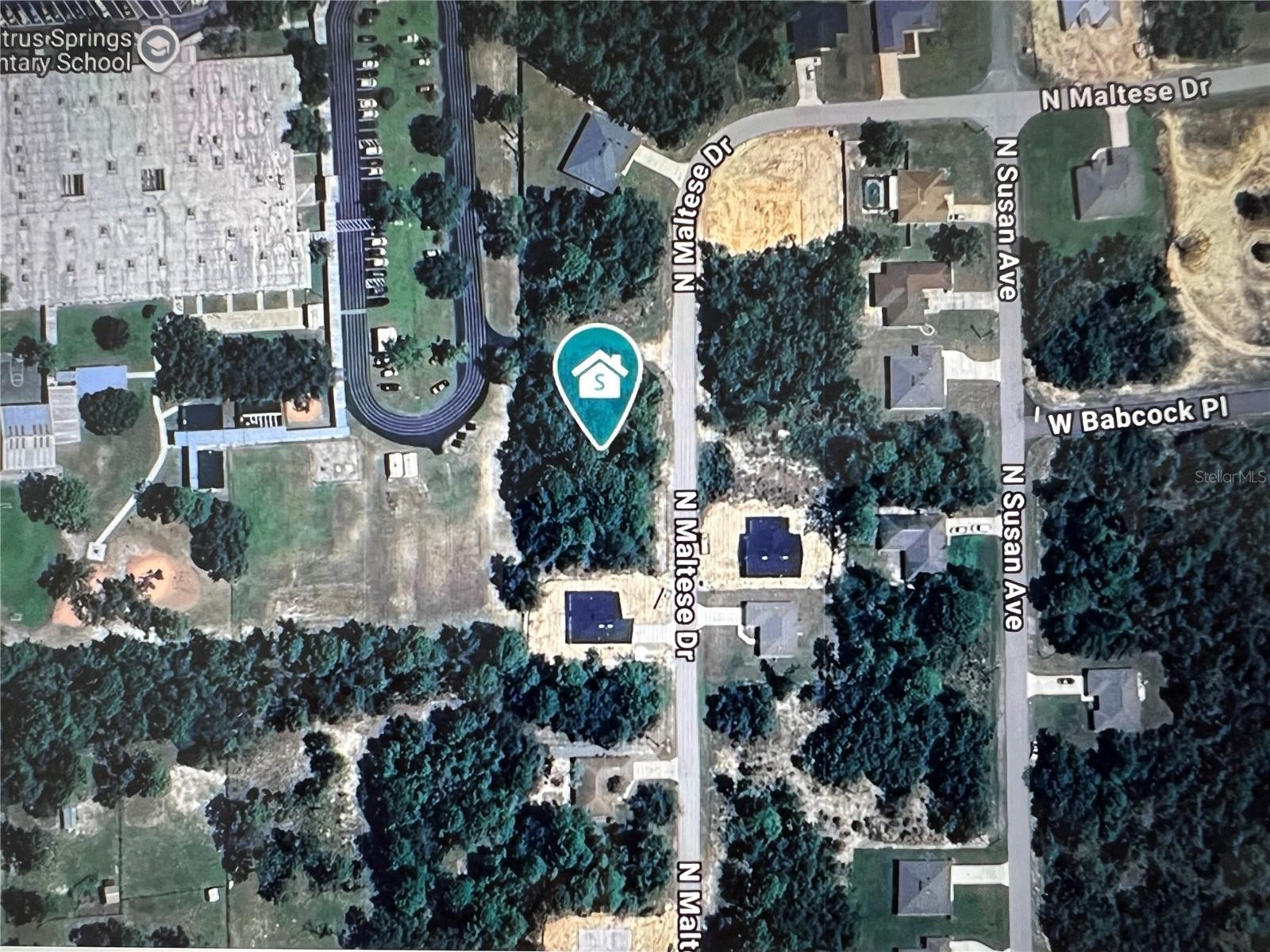 8038 N MALTESE DR, CITRUS SPRINGS, FL, 34433