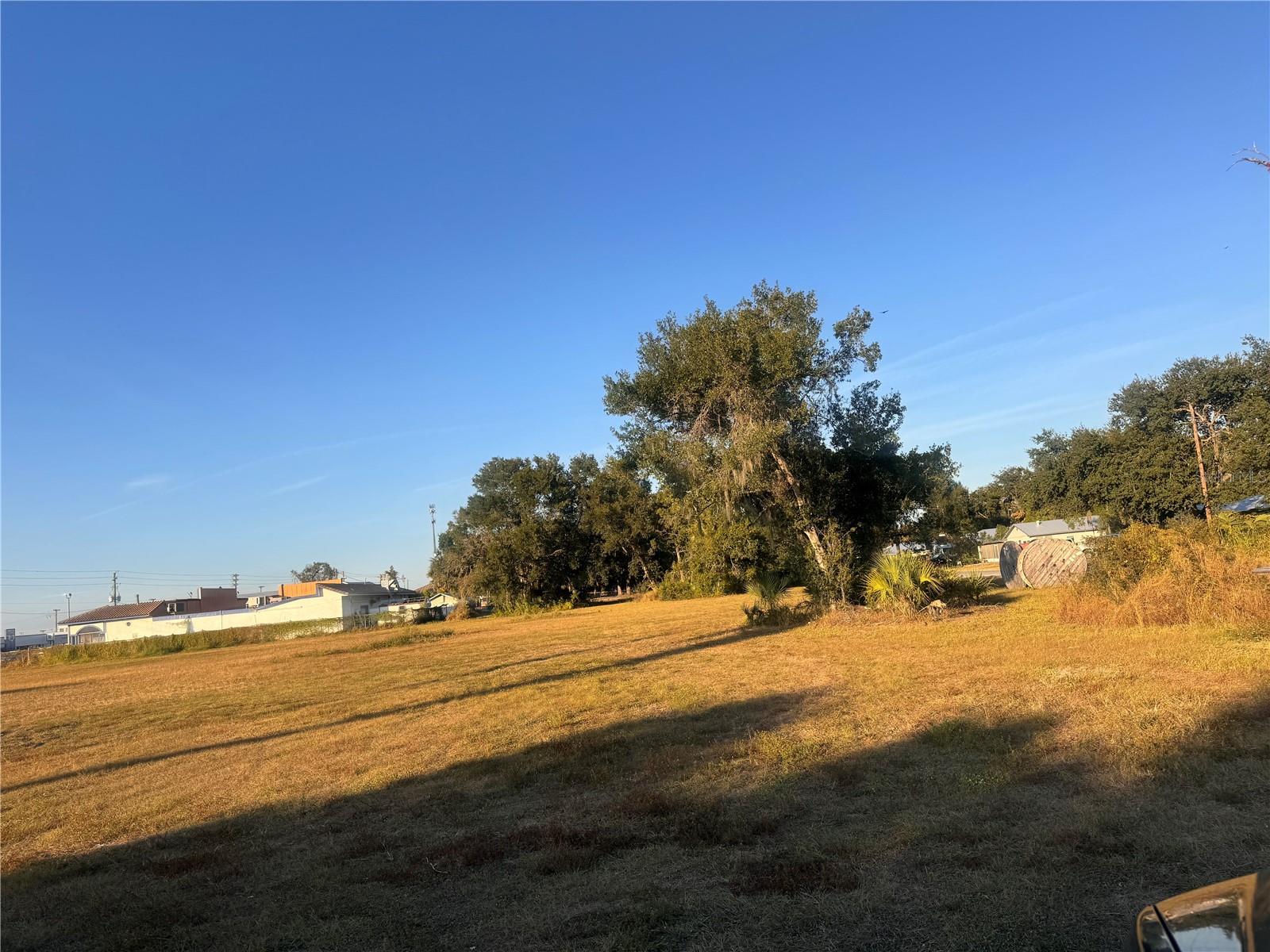 245 S BREVARD AVE, ARCADIA, FL, 34266