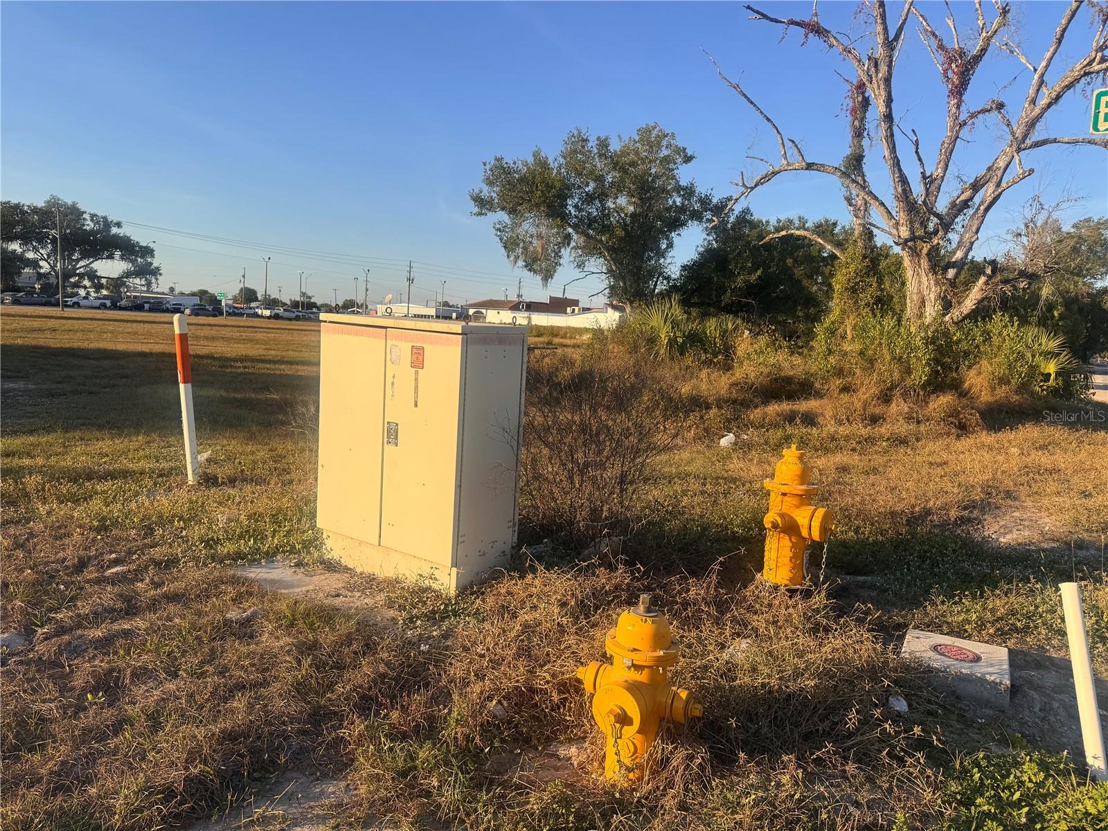 245 S BREVARD AVE, ARCADIA, FL, 34266