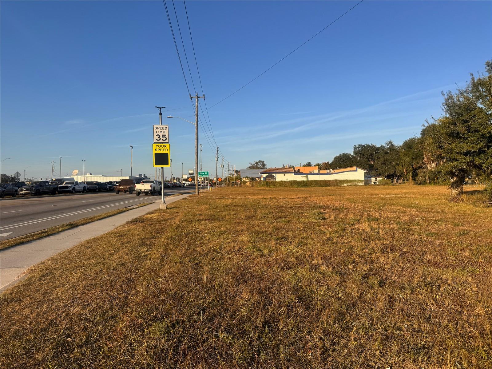 245 S BREVARD AVE, ARCADIA, FL, 34266