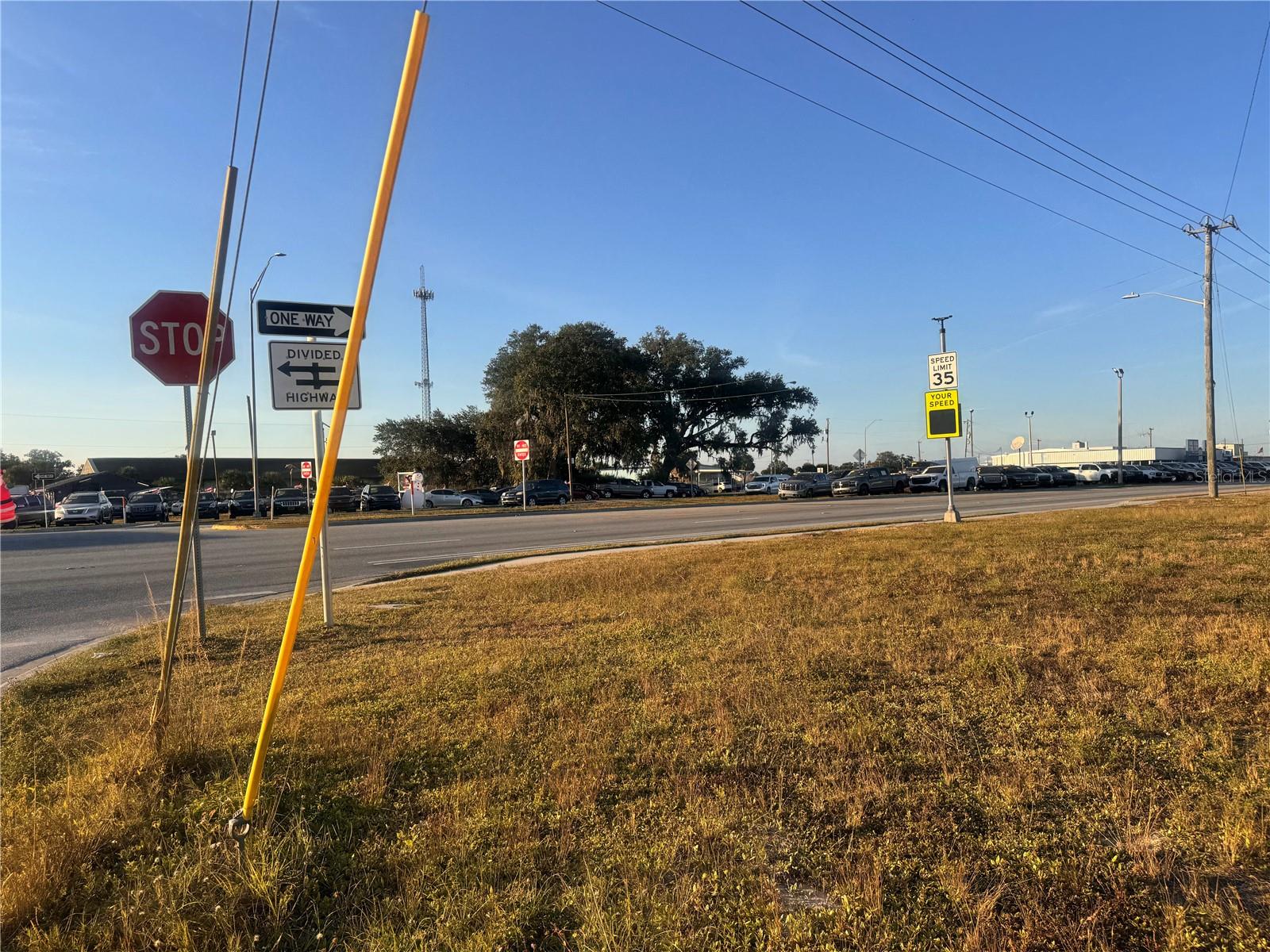 245 S BREVARD AVE, ARCADIA, FL, 34266