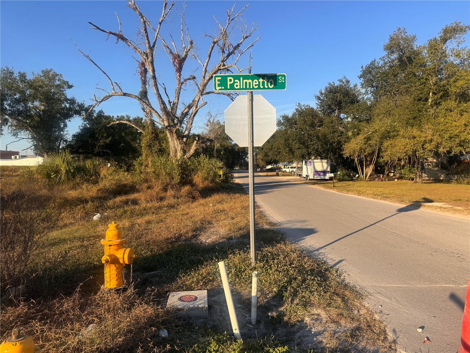 245 S BREVARD AVE, ARCADIA, FL, 34266