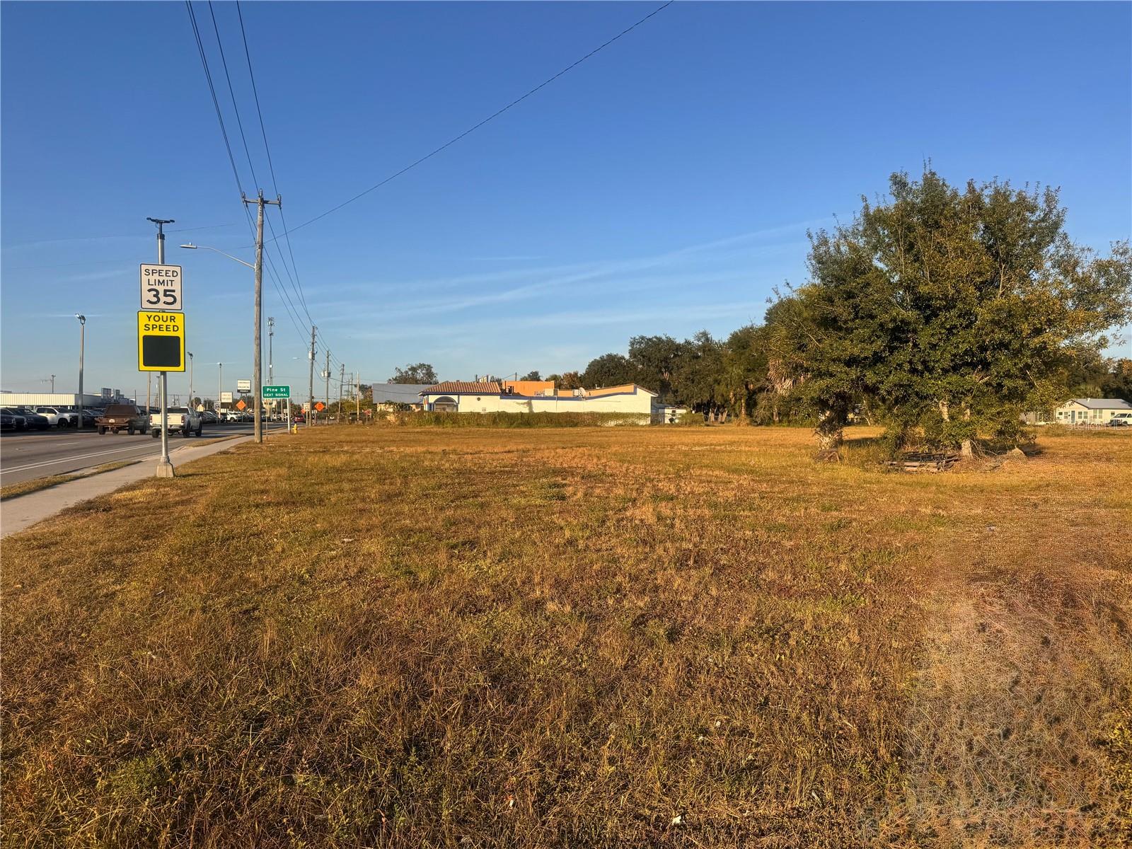 245 S BREVARD AVE, ARCADIA, FL, 34266