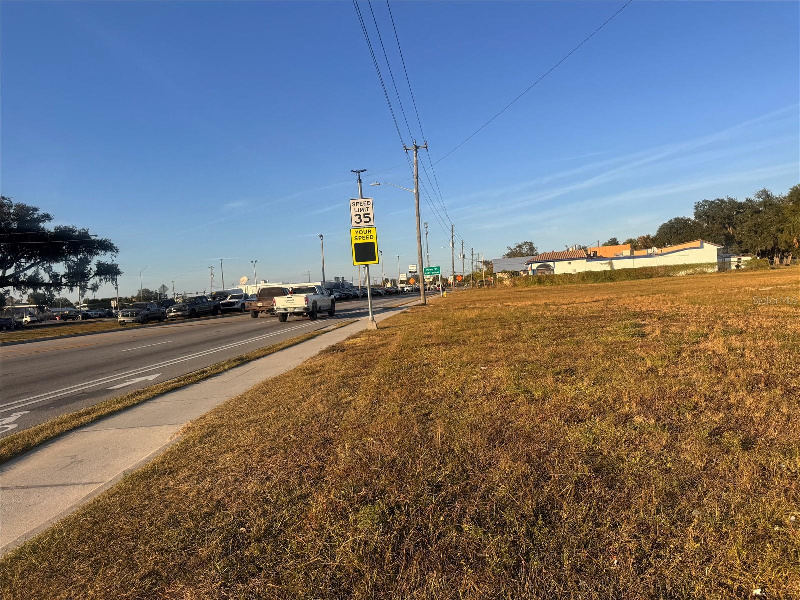 245 S BREVARD AVE, ARCADIA, FL, 34266