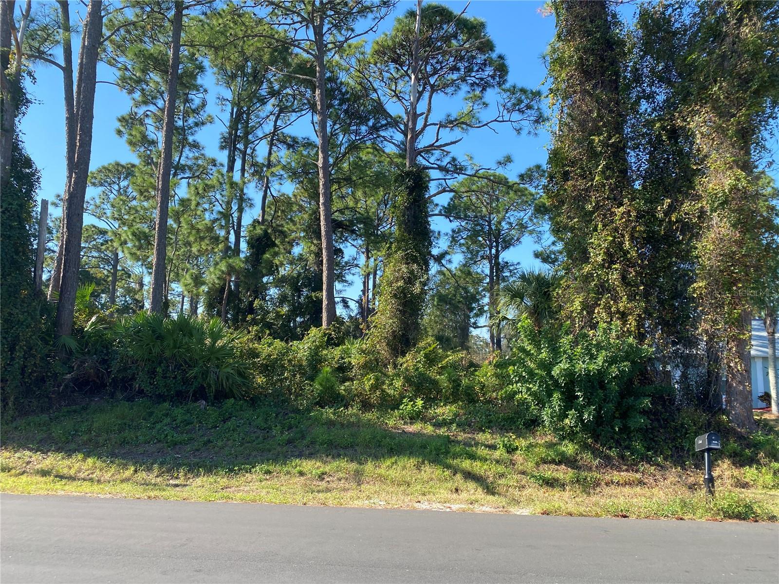 2512 FERN PALM DR, EDGEWATER, FL, 32141