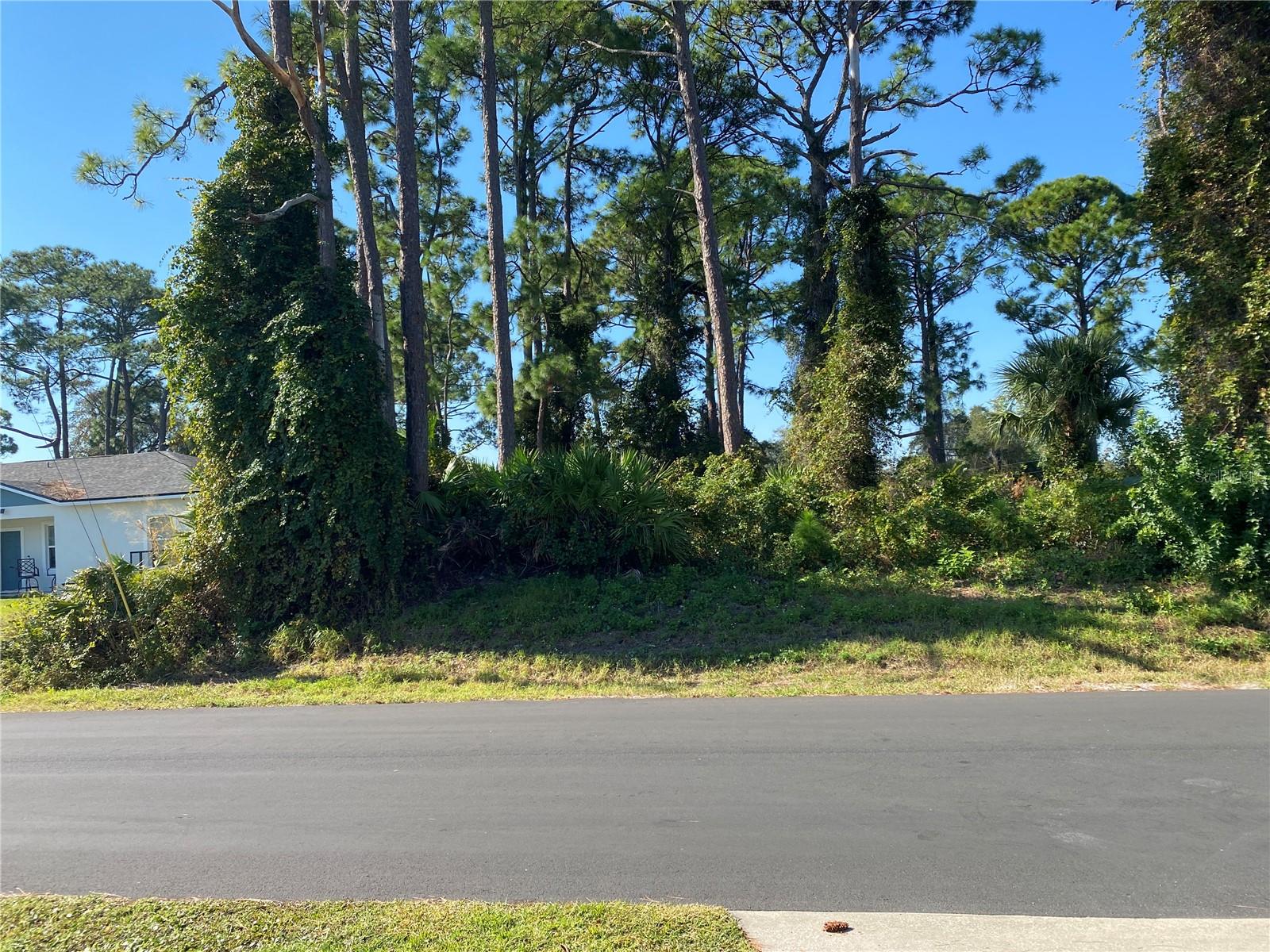 2512 FERN PALM DR, EDGEWATER, FL, 32141