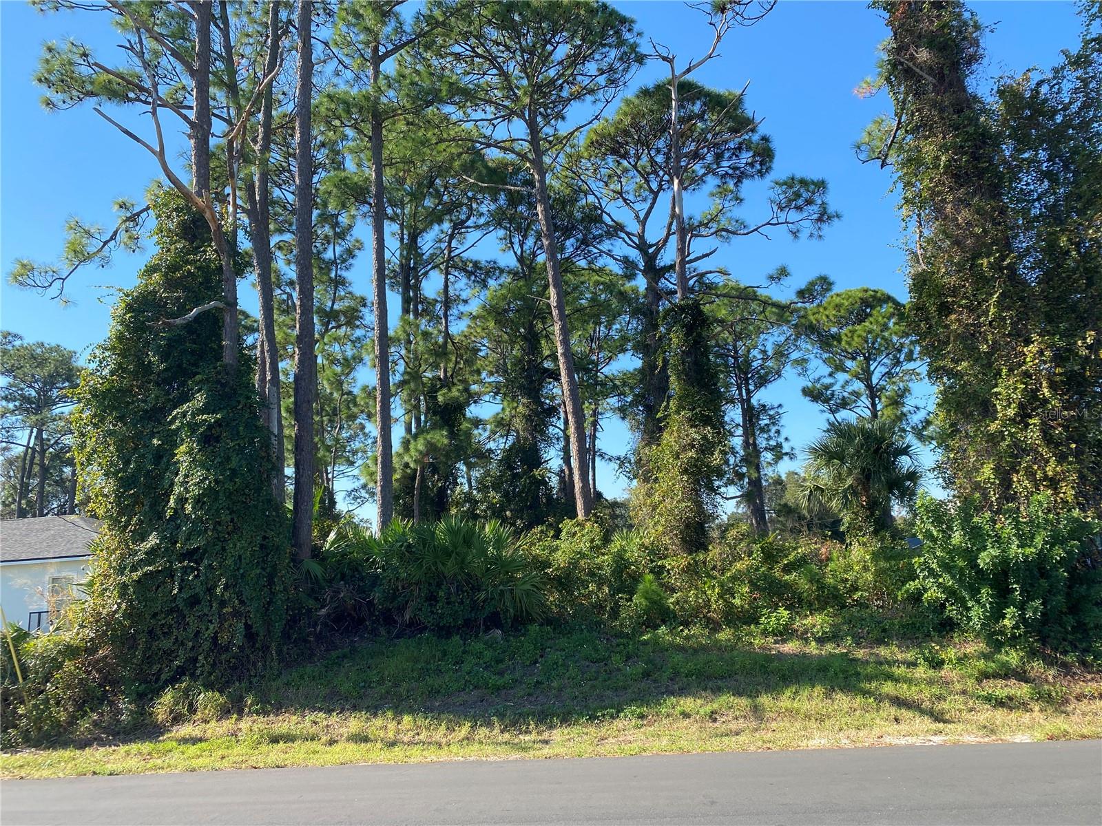 2512 FERN PALM DR, EDGEWATER, FL, 32141