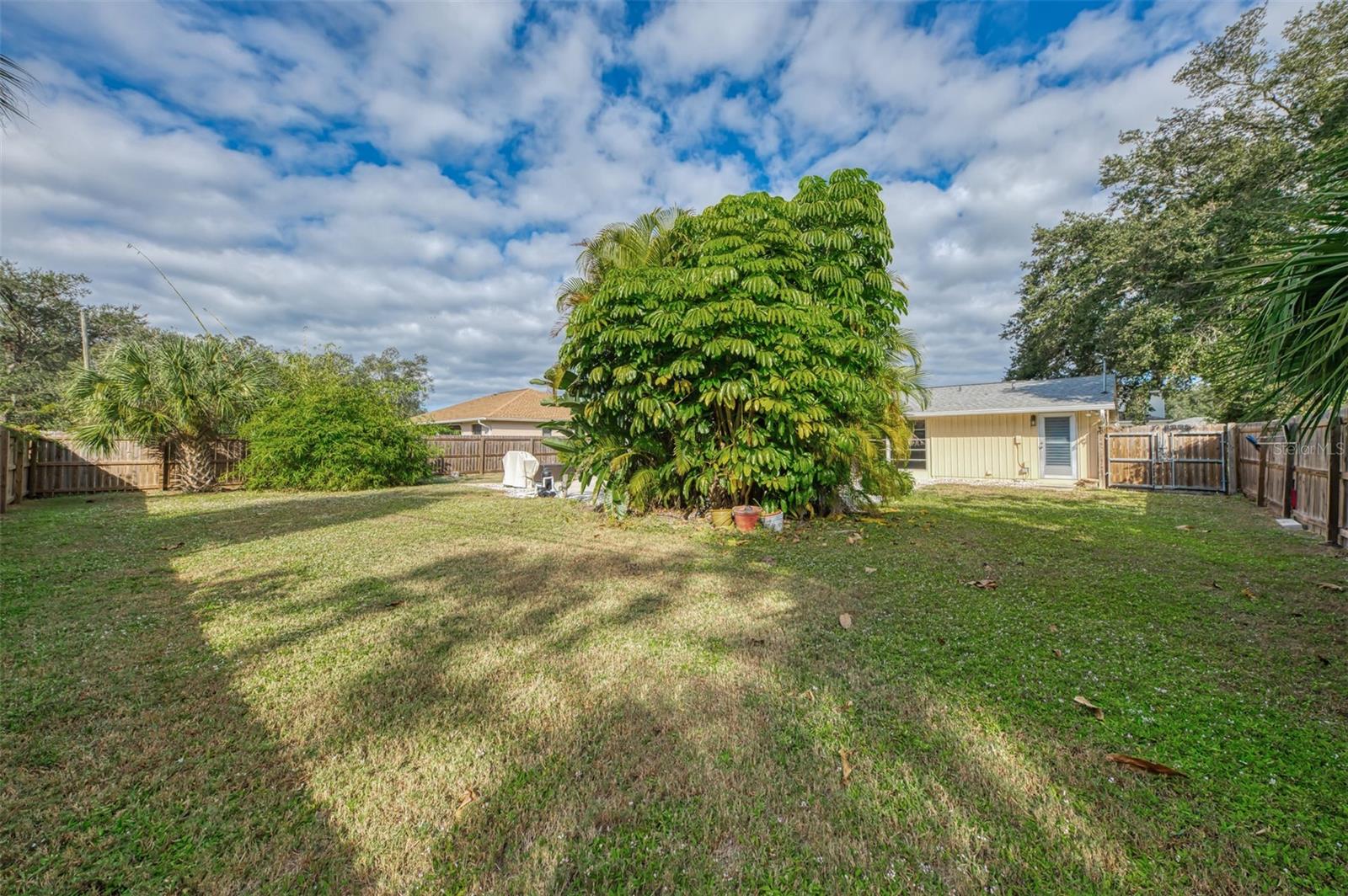 1149 VINITA AVE, PORT CHARLOTTE, FL, 33948