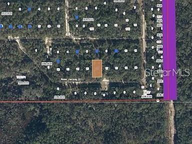 118 NEW JERSEY ST, SATSUMA, FL, 32189