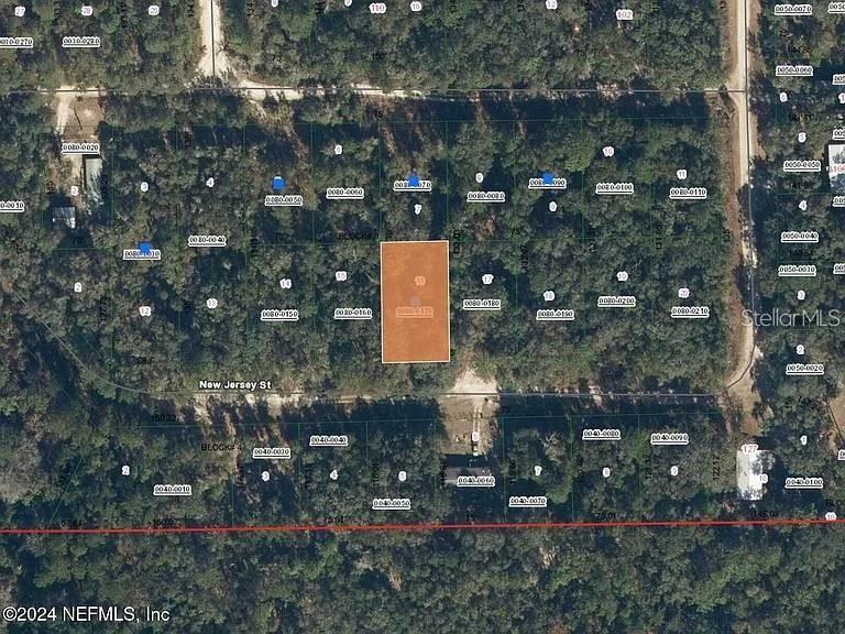 118 NEW JERSEY ST, SATSUMA, FL, 32189