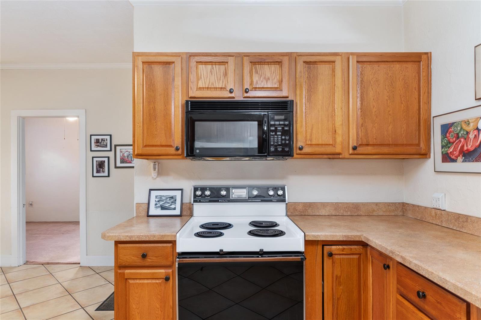 15885 SE 105TH TER, SUMMERFIELD, FL, 34491