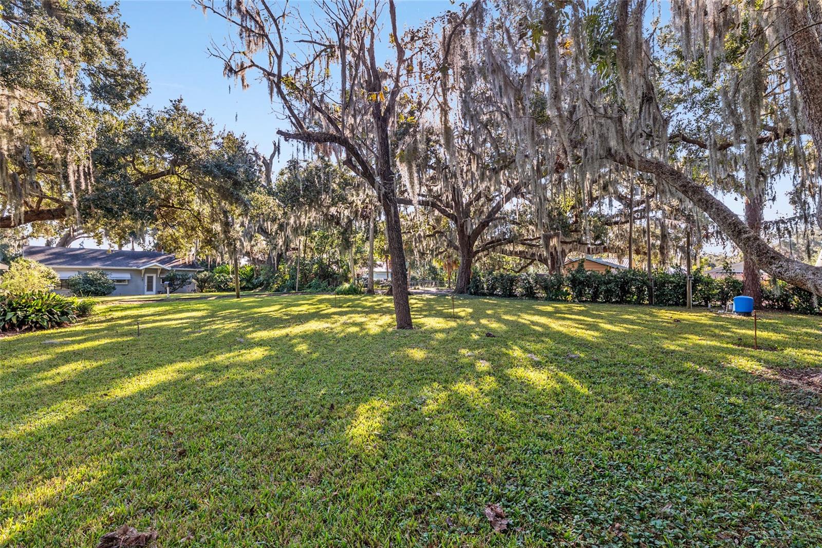 15885 SE 105TH TER, SUMMERFIELD, FL, 34491