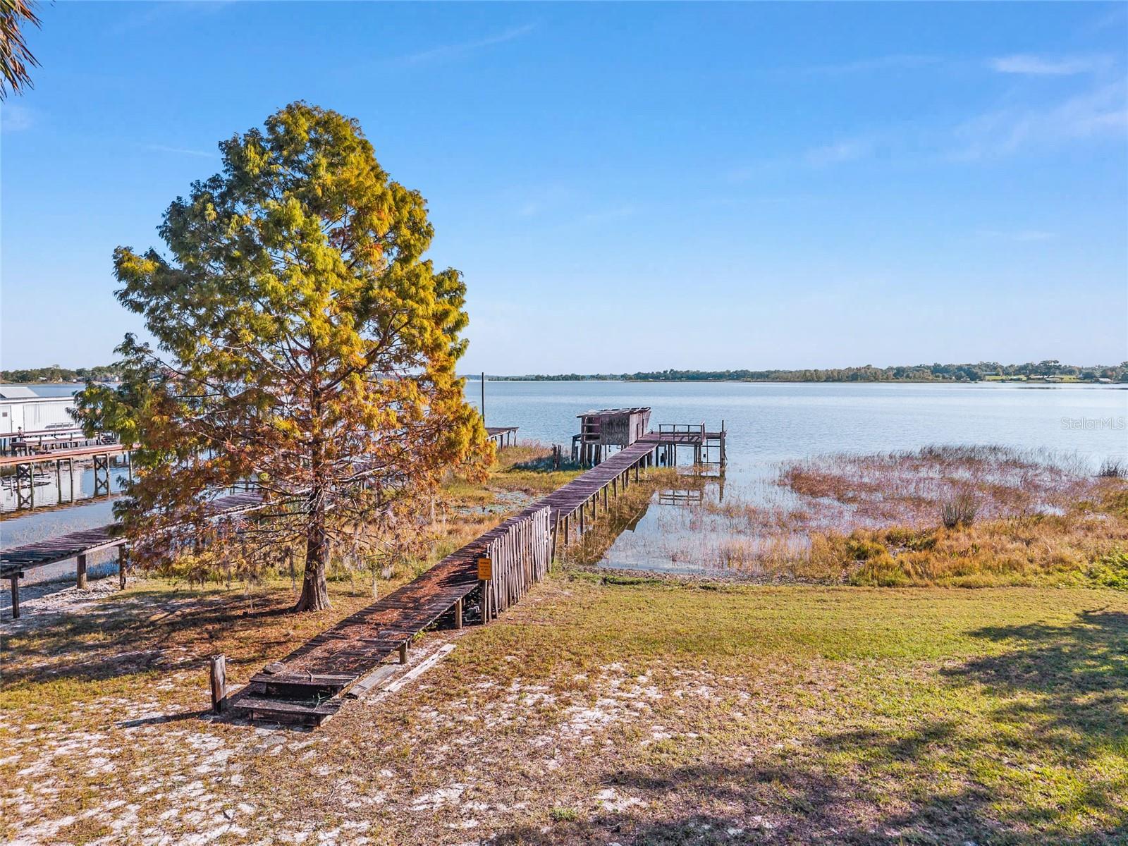 15885 SE 105TH TER, SUMMERFIELD, FL, 34491