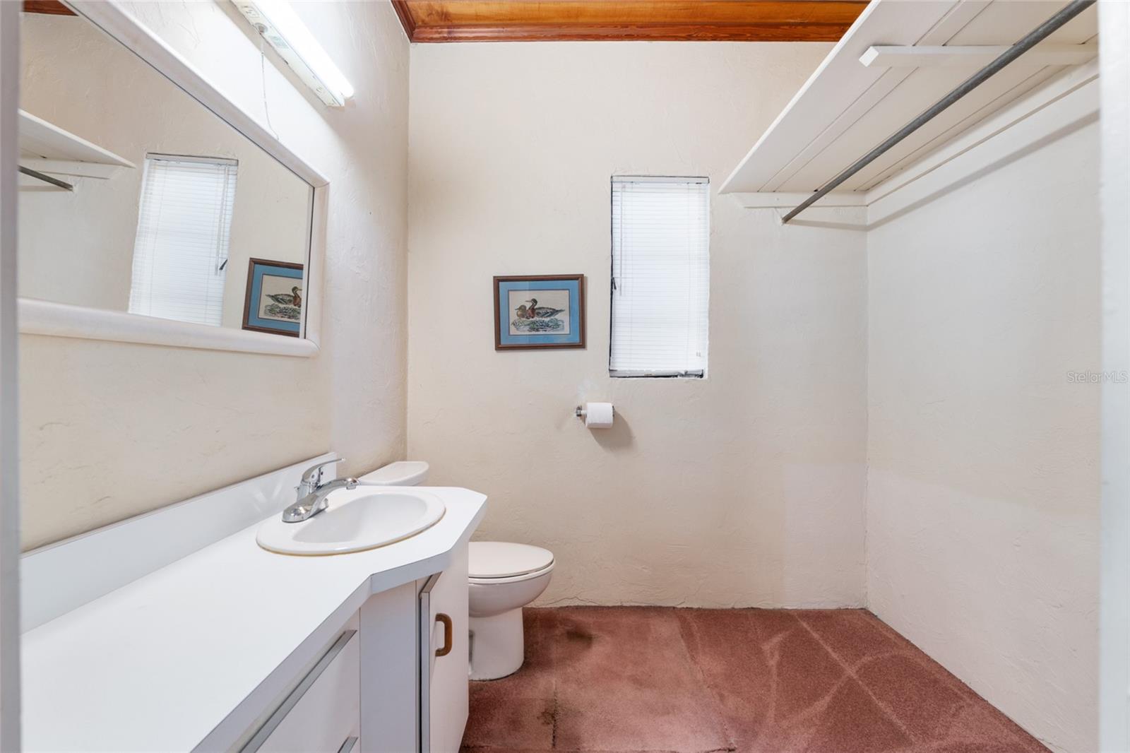 15885 SE 105TH TER, SUMMERFIELD, FL, 34491