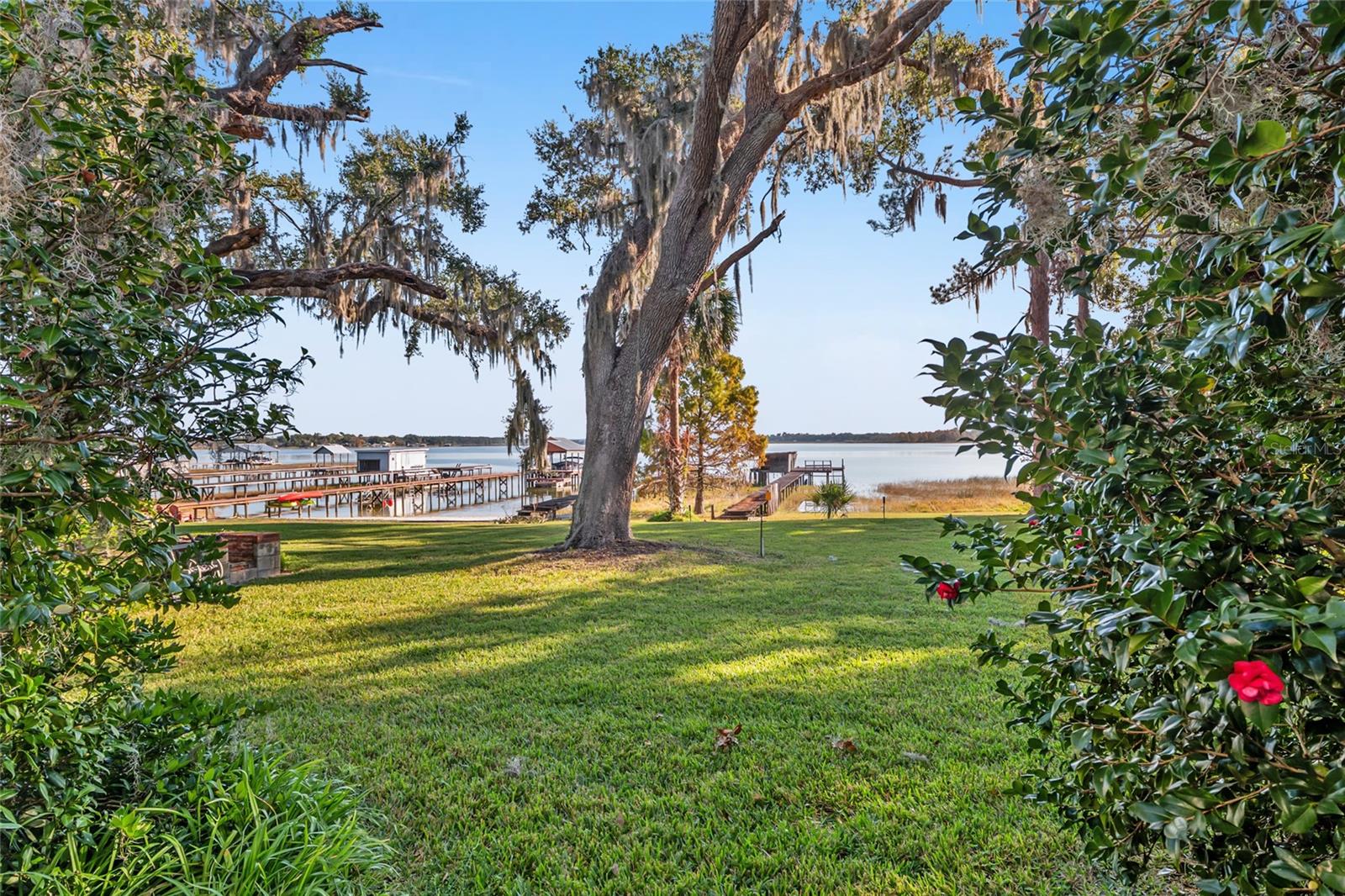 15885 SE 105TH TER, SUMMERFIELD, FL, 34491