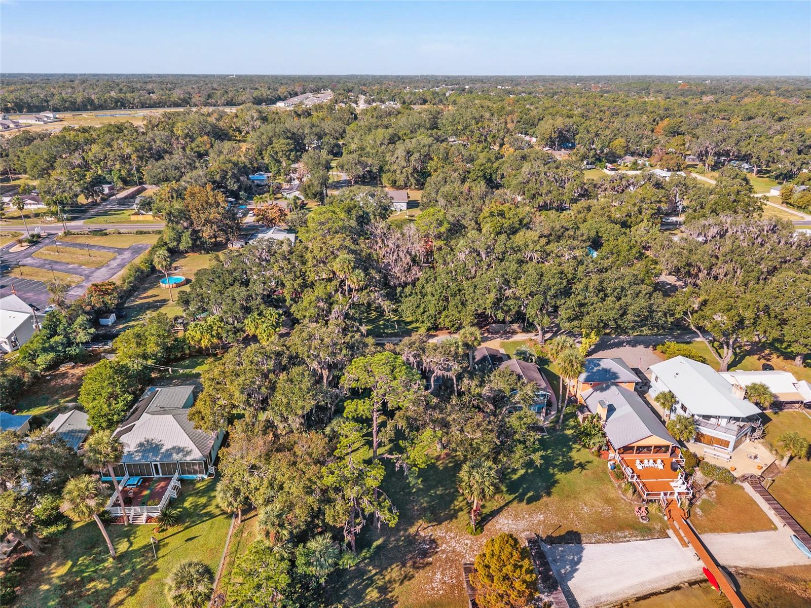 15885 SE 105TH TER, SUMMERFIELD, FL, 34491