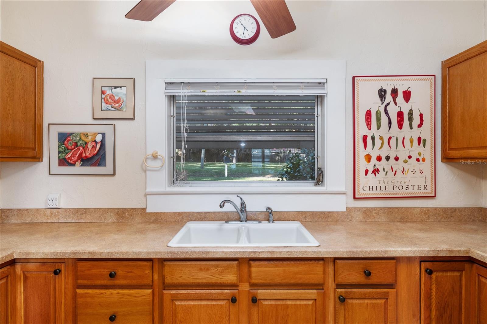 15885 SE 105TH TER, SUMMERFIELD, FL, 34491