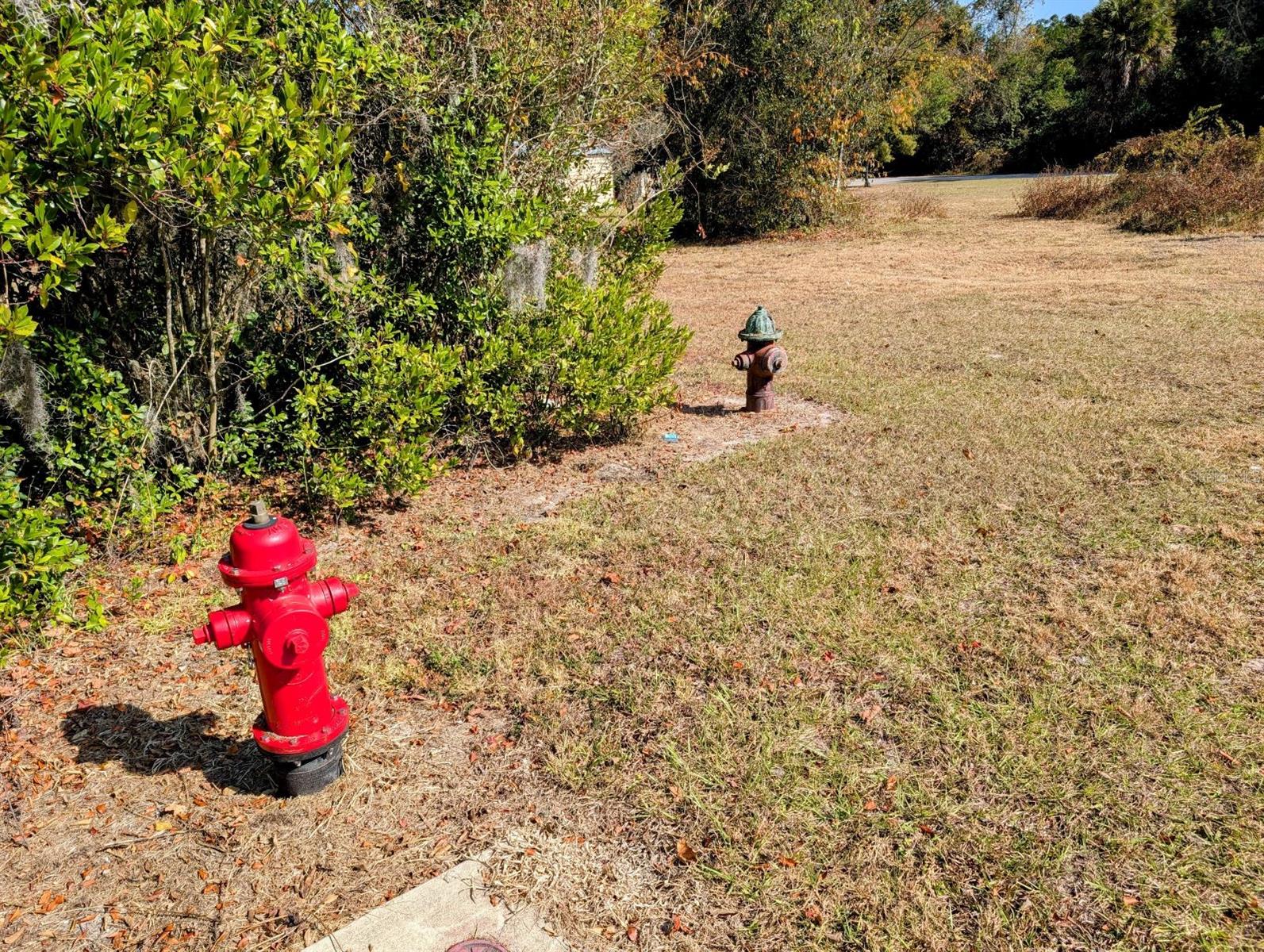 NW 184TH RD, HIGH SPRINGS, FL, 32643