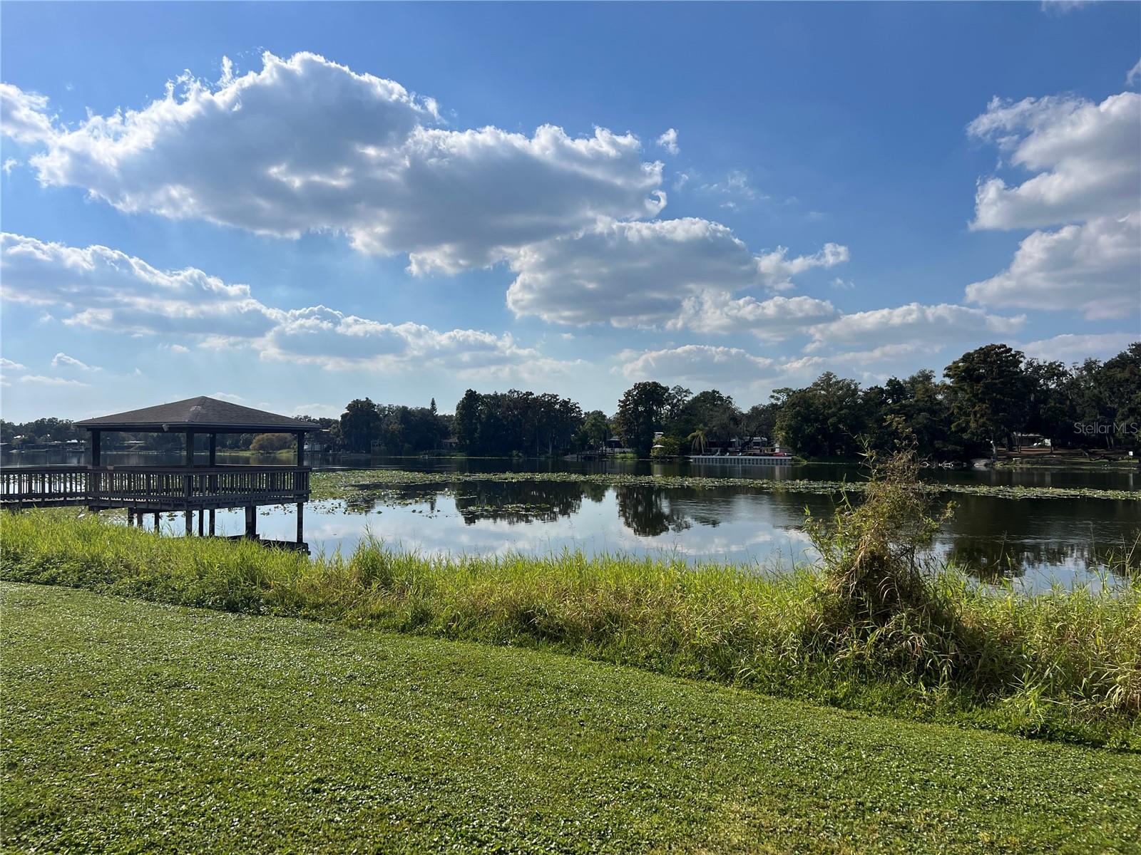 4141 DOLPHIN DR #4141, TAMPA, FL, 33617