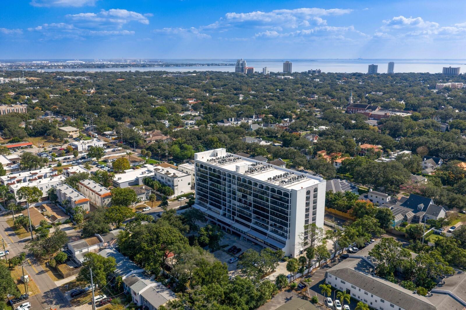 3211 W SWANN AVE #204, TAMPA, FL, 33609